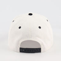 Op maat gemaakte promotionele vintage formele 5-delige baseballcap met 3D puff borduurwerk, fruitlogo, gebogen klep, twill, ademend en waterdicht