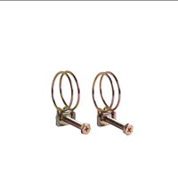 Diamètre du fil 1.51.8Double Wire Throat Hoop Hose Adjust Clip Plumbing Fixture Pipe Clamp Holding Fastening 201 Stainless Steel Clamp
