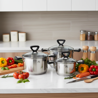 Ensemble de cuisine de luxe en acier inoxydable forgé 12 pièces, casseroles, couvercles en silicone, poignées - Origine Guangdong, compatible lave-vaisselle et four