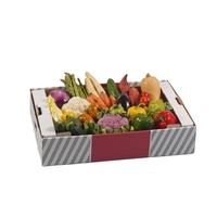Boîtes de fruits ondulé lourd personnalisé Carton Carton Cerise Orange Pomme Citron Mangue Banane Légumes Fruits Emballage Boîte de papier
