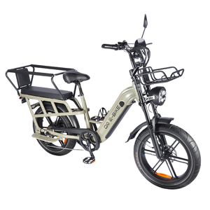 Bicicleta Eléctrica Q10 de 20 Pulgadas con Cuadro de Aluminio, 7 Velocidades, Doble Suspensión y Frenos de Disco Hidráulicos para Adultos - Product Image 1