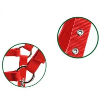 Licol de tuyau en sangle PP de 25mm de large avec œillet en métal et raccords en métal