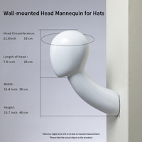 Tête de mannequin en fibre de verre à cou long, support mural pour perruques, modèle de présentation en plusieurs couleurs, matériau FRP