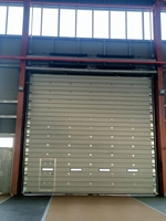 Portes sectionnelles en acier industrielles modernes avec fenêtres, design coupe-vent, surface finie pour usines et entrepôts