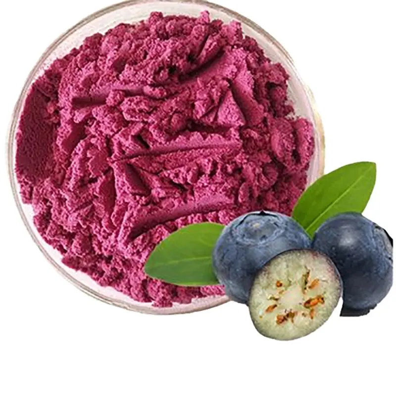 Blueberry Extract Powder Organic Blueberry Juice Powder freeze dried blueberry powder