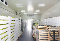 Chambre froide à atmosphère contrôlée industrielle personnalisée pour le stockage post-récolte des vergers de pommes
