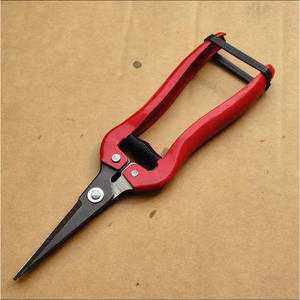 Tijeras de poda Tokunosuke de cabeza recta para frutas, con hoja de acero al carbono de 55 mm, para uvas, tomates y flores. - Product Image 1