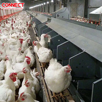 Fenêtre d'aération latérale en PVC pour poulailler, élevage de volailles, fermes, élevage d'animaux, équipement d'élevage, ventilation, entrée d'air