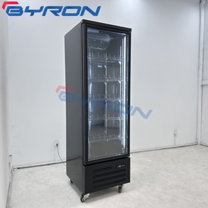 Cửa hàng tạp hóa Byron hiển thị tủ lạnh Tủ đông/tủ đông dọc/tủ đông hiển thị cửa hàng tạp hóa tủ lạnh hiển thị sản phẩm - Product Image 3
