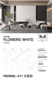 烧结石材大理石外观的耐用现代设计墙板瓷砖，适用于卧室、餐厅、家庭办公室 - Product Image 4