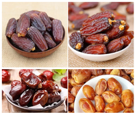 Mesin Pembersih dan Pemoles Kurma Otomatis dengan Sikat Rol dan Mesin Cuci Kering untuk Kurma