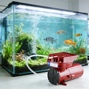 Pompe à air pour aquarium et aquaculture à aimant permanent en métal 12V 24V DC à bas <span class=keywords><strong>prix</strong></span> - Product Image 2