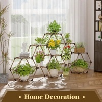 Support de Plantes Hexagonal en Bois d'Eucalyptus Écologique pour Intérieur avec Trous de Drainage, Auto-Arrosage, Créatif et Réglable pour la Maison