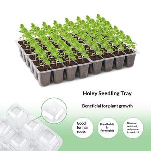 Grande boîte et plateau de semis rectangulaires en <span class=keywords><strong>plastique</strong></span> PS pour la culture de semis de plantes succulentes et la germination à la vapeur - Product Image 6