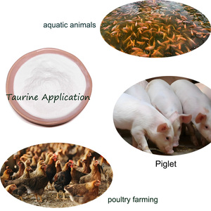 Phụ gia thức ăn Taurine cho gà mái lớp tăng sản lượng trứng và cải thiện chất lượng vỏ - Product Image 4