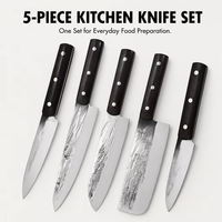 Couteau de chef japonais en acier inoxydable 7Cr17mov, martelé à la main, ensemble de 5 couteaux avec manche en ébène