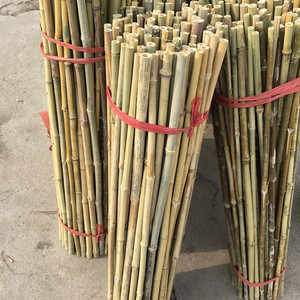 <span class=keywords><strong>Poteau</strong></span> en Bambou Tonkin 26/28mm X 295cm, <span class=keywords><strong>Support</strong></span> Arbres - Product Image 1
