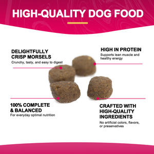 Alimento Seco para Perros con Certificación ISO, Receta Rica en Nutrientes e Hipoalergénica, Alimento para Mascotas de Primera Calidad para Cooperación de Exportación a Largo Plazo - Product Image 2