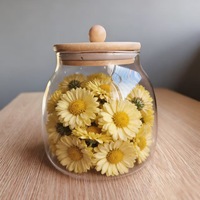 Driehoekige theebus van helder borosilicaatglas met bamboe deksel met bolvormige knop voor geurende thee, granen, voedselveilige container