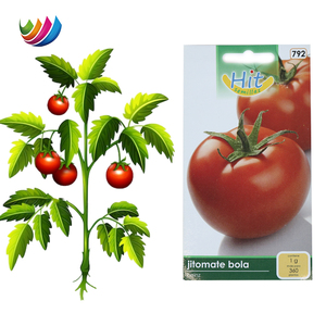 Sacchetto di carta <span class=keywords><strong>semi</strong></span> di alluminio stampato su misura per acqua e protezione solare per <span class=keywords><strong>semi</strong></span> di <span class=keywords><strong>pomodoro</strong></span> <span class=keywords><strong>biologici</strong></span> per uso di farina e mangime - Product Image 2