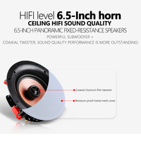 7.1 Système de haut-parleurs de cinéma maison de plafond DTS Surround Sound Cinema Set Home Background Music System