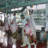 Equipo de matadero de cabras Ritual para planta de proceso de carne de matadero de cordero
