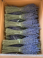 Buket bunga kering kustom karangan bunga Lavender kering berkualitas Superior