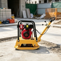 Compacteur à plaque vibrante réversible à essence pour la compactation de sols et d'asphalte en travaux de construction de fossés étroits
