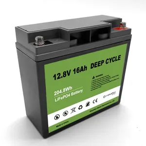 Deep Cycle Rechargeable LiFePO4 Batteries Litio 12v 15Ah 12Ah 24Ah 18Ah 9Ah 6Ah lithium ion battery