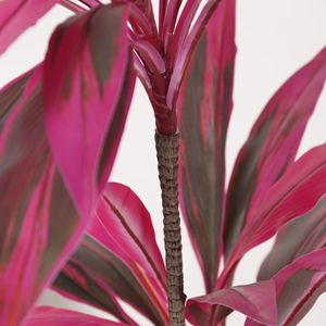 Plante artificielle Cordyline Bonsai Dream Castle 30-100cm, décoration pour salon ou bureau - Product Image 4