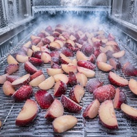 Graad A Halal IQF Diepvries Rode Pruimen Schijfjes Groothandel |   100% natuurlijke verse gesneden pruimen voor jam, bakkerijproducten & smoothies