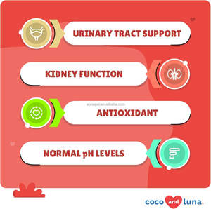 Suppléments pour animaux de compagnie Solutions OEM Traitements des infections des voies urinaires Santé des voies urinaires Produits et suppléments de soins de santé pour animaux de compagnie - Product Image 4