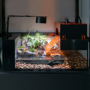 Relaxlines Réservoir de tortue d'aquarium en verre Réservoir de tortue écologique <span class=keywords><strong>Reptile</strong></span> avec plate-forme de séchage Rectangle - Product Image 1
