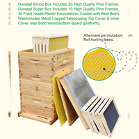 Imkerei 10-Rahmen-Bienenstock Holz-Bienenkasten