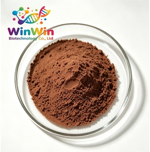 Высококачественный экстракт Hoodia Gordonii в порошке от WinWin Supply, экстракт кактуса - Product Image 2