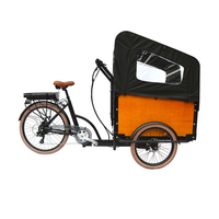 Vélo électrique à trois roues pour adultes, 250W 36V, fabriqué en Chine, avec de grands sièges passager, 20 pouces, vente chaude