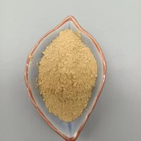 Diatomite de qualité alimentaire naturelle de haute pureté pour le traitement de la bière, du vin et de l'eau, approvisionnement en vrac en diatomite