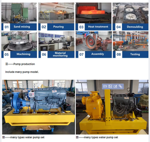 Conjunto de Bomba de Água <span class=keywords><strong>Diesel</strong></span> Autoaspirante Tipo Estacionário para Esgoto Industrial - Product Image 6