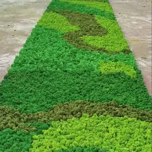 Indoor decorative moss 3D Plant wall plastic artificial moss grass wall