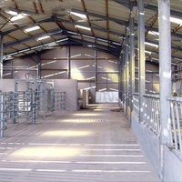 Structure en acier personnalisée pour l'élevage de bétail, hangar d'élevage de chèvres, abri préfabriqué pour moutons