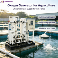 Nanxiang 10Nm³/h Pressure Oxygen Generator Industrial Oxygen Production Plant Oxygen Making Machine for Oxygen Supply