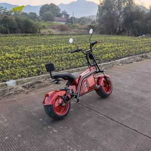 Citycoco <span class=keywords><strong>2022</strong></span>, meilleure performance, design populaire, scooter électrique 12 pouces, 2000W, moto adulte, entrepôt européen, Citycoco - Product Image 5
