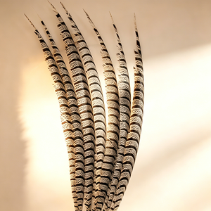 Plumas de cola de faisán Reeves de primera calidad - Perfectas para la fabricación de sombreros, manualidades de atrapasueños y accesorios de disfraces de teatro - Product Image 4