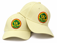 Casquettes de baseball ajustées structurées 6 panneaux en sergé de coton avec logo brodé respirantes pour sports de plein air décontractées unisexe motif léopard sportif