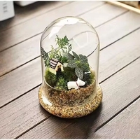 Cloche en verre, terrarium avec base en verre, vase de table pour l'exposition, 15*20cm
