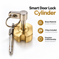Cylindre de serrure de porte intelligente en laiton avec clé croisée et 2 clés pour serrure électronique intelligente