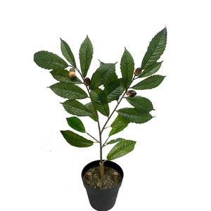 Feuilles d'arbre de mangue artificielles en plastique de style nordique - Feuilles décoratives hautement réalistes et écologiques pour la remise des diplômes et le Nouvel An chinois - Product Image 2