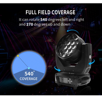 Wash 19x15 19x15W Led Zoom Wash Light avec tête mobile 19PCs 4in1 Zoom Led Par Can Light pour Dj