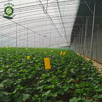 Style chaud petite serre agricole couette chaude hiver froid passif solaire croissance des plantes serre pour potager