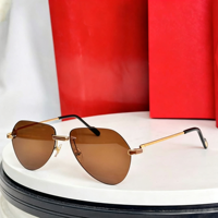 Lunettes de soleil aviateur rétro en métal polarisées UV400, monture intégrale carrée dorée unisexe, nouvelle collection avancée Tac Sense Toad